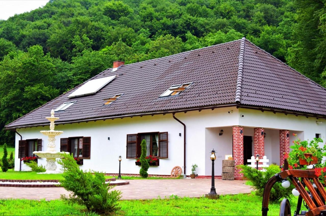 Domeniul Poiana Ursului * Dumbraveni (Sibiu)